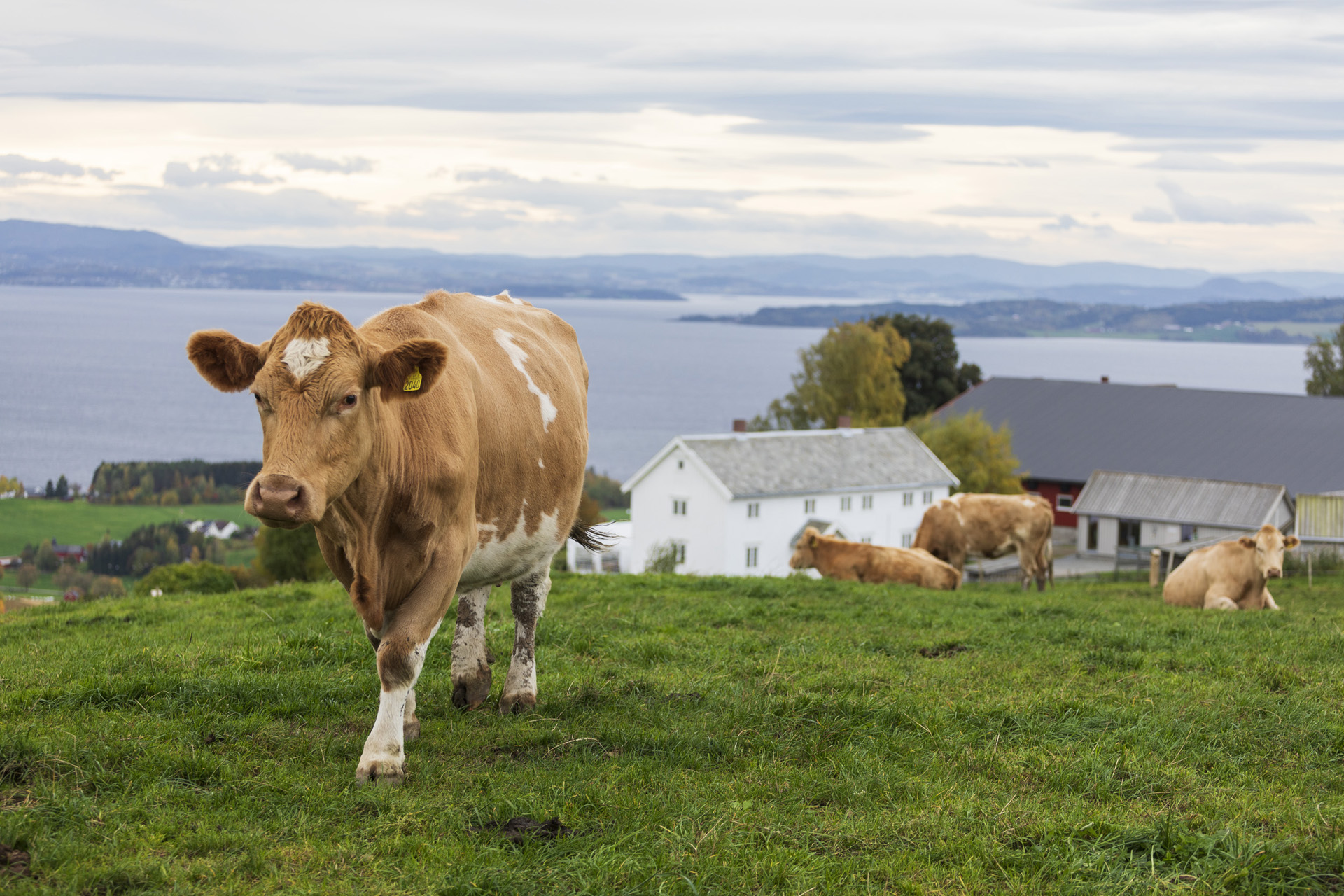 husfrua-grdshotell_51944099275_o